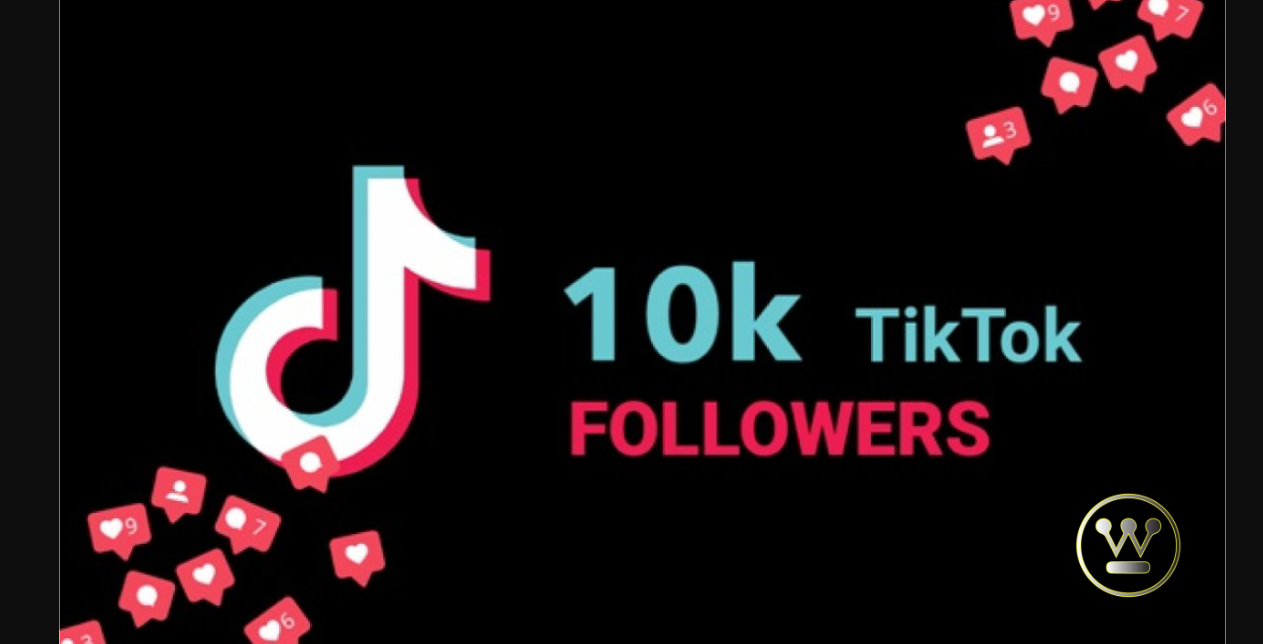 tiktok schnell 1000 follower